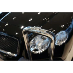 Bentley Continental GT Coupé 2011-2018 (EU) 4-tlg. Kofferset Kofferraum 12 Bentley Continental GT Coupé 2011-2018 (EU) 4-tlg. Kofferset Kofferraum -Berühmtes Gepäck Geschäft 1048480 DSC02713